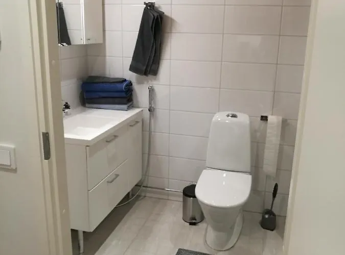 公寓 Starhomes Double Lux 10 奥卢