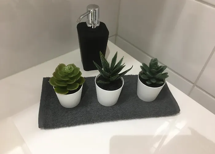 Starhomes Double Lux 10 *