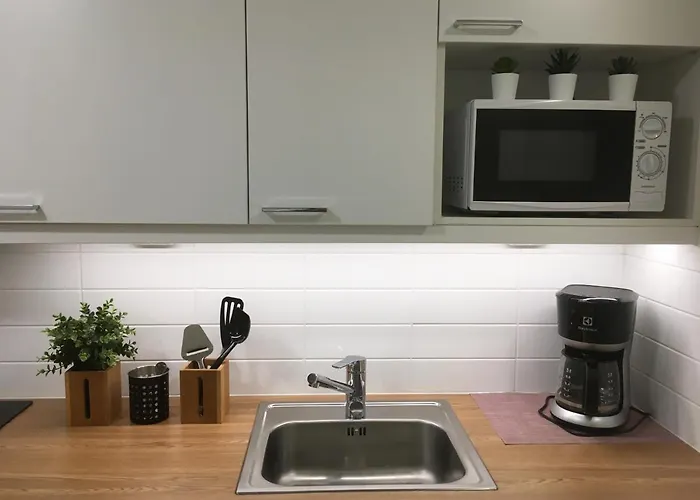 Starhomes Double Lux 10 公寓 *