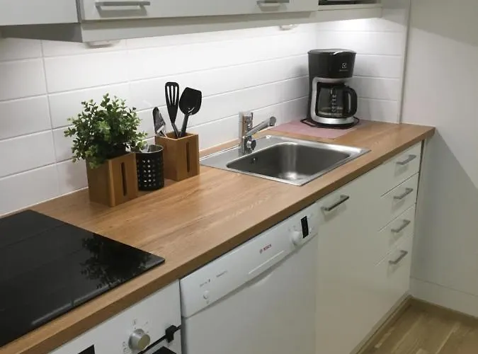 Starhomes Double Lux 10 公寓 *